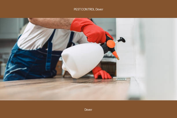 PEST CONTROL Dover